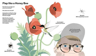 How Big Is Big? How Far Is Far? All Around Me (Metric)