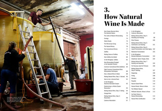 The World of Natural Wine