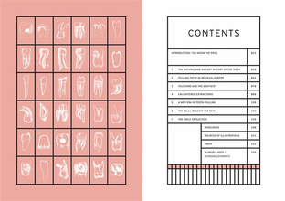 The Smile Stealers. Art of Dentistry