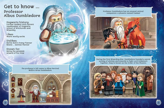 LEGO® Harry Potter™: Official Yearbook 2024 (with Albus Dumbledore™ minifigure)