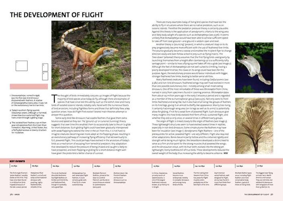 Evolution: the Whole Story