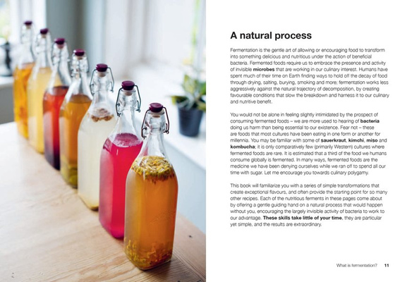 Ferment : Slow Down, Make Food to Last