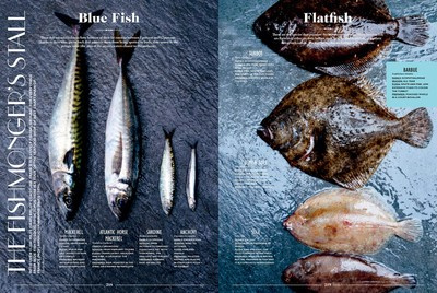 Let's Eat France! 1,250 Specialty Foods, 375 Iconic Recipes, 350 Topics, 260 Personalities, Plus Hundreds of Maps, Charts, Tricks, Tips, and Anecdotes and Everything Else You Want to Know about the