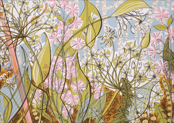 The Book of Wild Flowers : Reflections on Favourite Plants