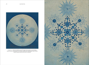 Wild Design : The Architecture of Nature