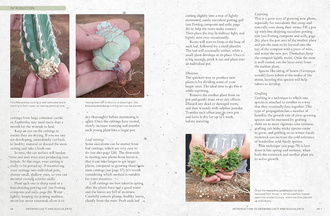 The Kew Gardener's Guide to Growing Cacti and Succulents