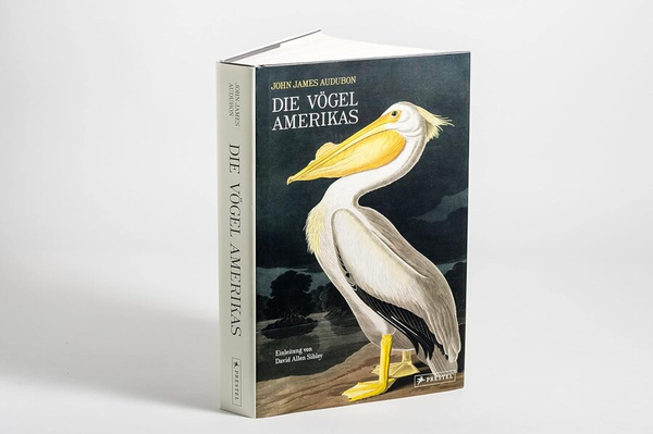 John James Audubon – Die Vögel Amerikas