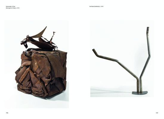 Feliza Bursztyn : Welding Madness