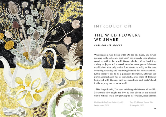 The Book of Wild Flowers : Reflections on Favourite Plants