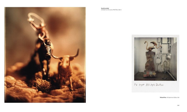 The Polaroid Project At the Intersection of Art and Technology