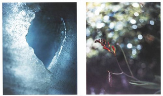 Takeshi Miyamoto - Spectrum 