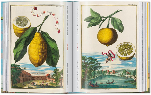 J. C. Volkamer. The Book of Citrus Fruits. 45th Ed.
