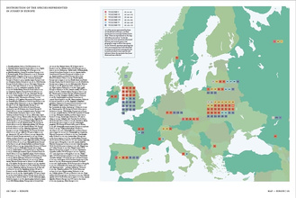 Iconotypes : A compendium of butterflies and moths