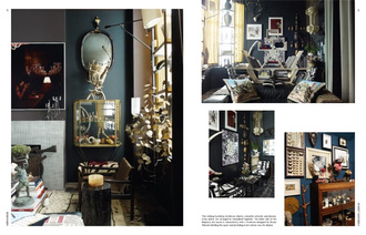 The New Naturalists : Inside the Homes of Creative Collectors