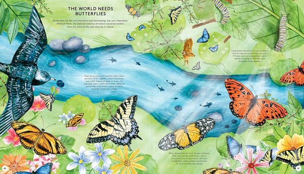 The Secret Life of Butterflies