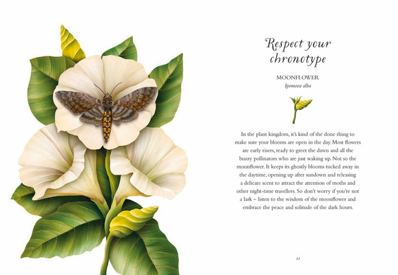 The Wisdom of Flowers