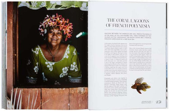 Sailing the Seas: A Voyager's Guide to Oceanic Getaways