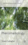 Phenomenology