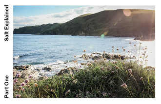 Salt and the Art of Seasoning