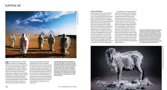 The Photographer's Vision Remastered