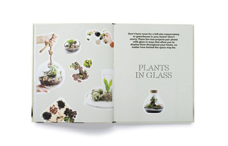 How to plant a room and grow a happy home