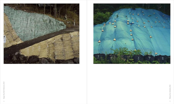 Toshio Shibata : Japan