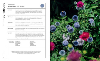 The Super Bloom Handbook