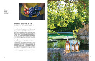 Adventures in Rose Wine in Provence