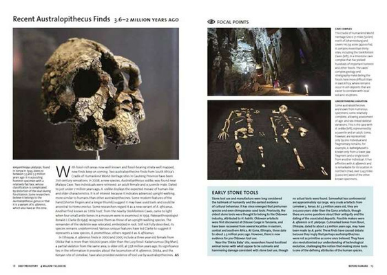 Archaeology: The Whole Story