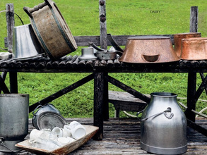 The Nordic Cookbook - Magnus Nilsson