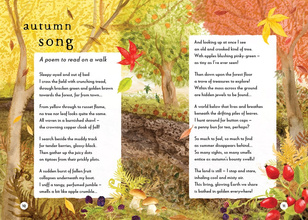 A Field Guide to Autumn : Play and learn in nature