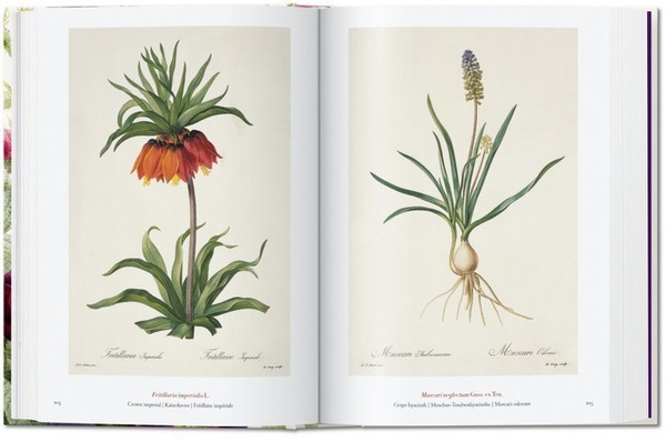 Redoute. The Book of Flowers. 40th Anniversary Ed.