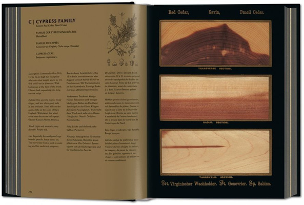 Romeyn B. Hough. The Woodbook. The Complete Plates