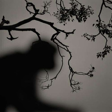 Kenro Izu – Eternal Light USZKODZONA