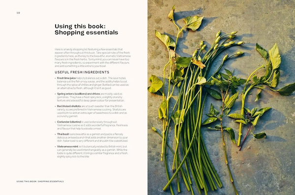 Vietnamese Made Easy