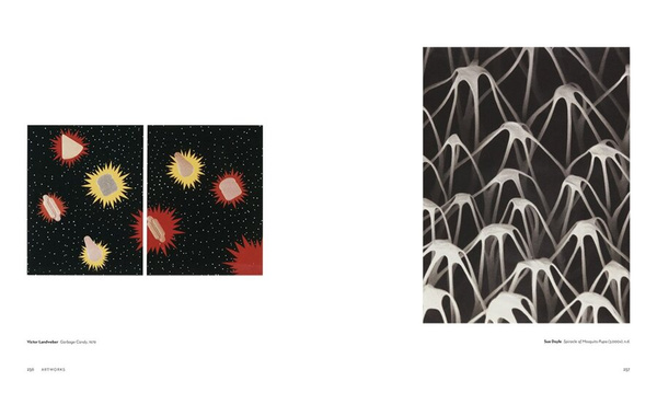 The Polaroid Project At the Intersection of Art and Technology