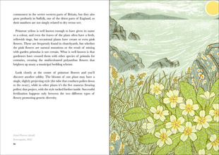 The Book of Wild Flowers : Reflections on Favourite Plants