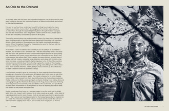 Orchard : Sweet and Savoury Recipes from the Countryside