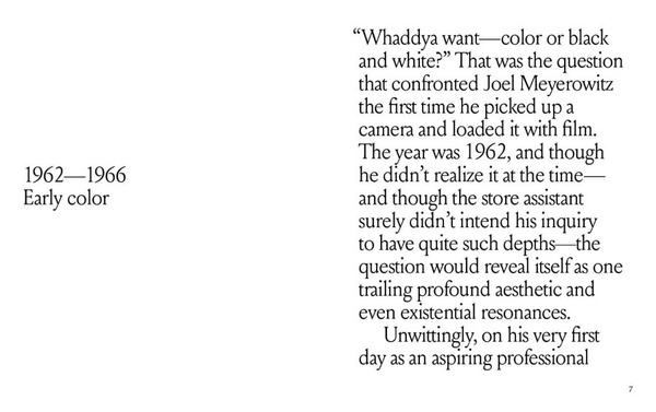 Joel Meyerowitz: A Question of Colour