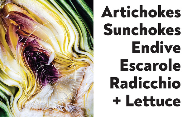 Veg-Table : Recipes, Techniques, and Plant Science for Big-Flavored, Vegetable-Focused Meals