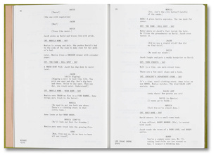 Minari Screenplay Book