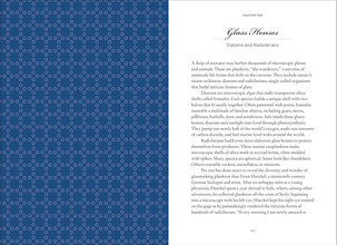 Wild Design : The Architecture of Nature