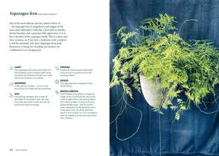 Green Home : The Joy of Living with Plants