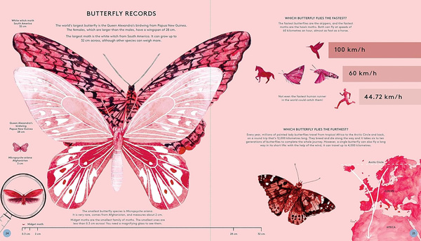 The Secret Life of Butterflies