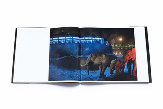 Nick Brandt: This Empty World