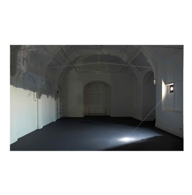 Zoe Leonard: Available Light