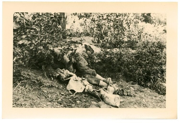 Steven Nestor – Monte Cassino