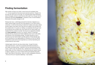 Ferment : Slow Down, Make Food to Last