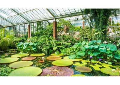 50 Gardens You Need To Visit Before You Die