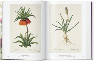 Redoute. The Book of Flowers. 40th Anniversary Edition
